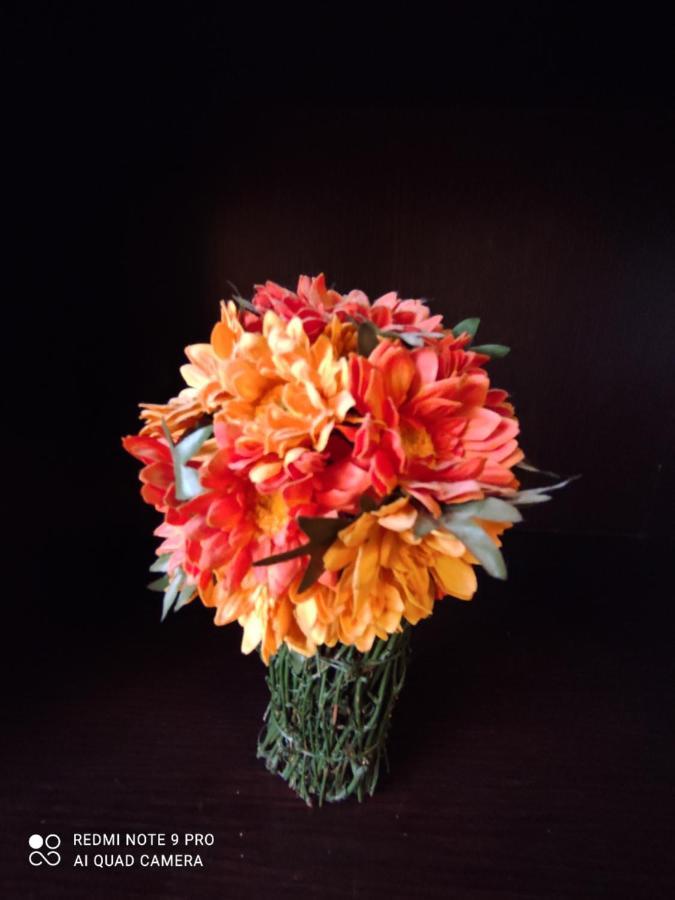 Il Giglio Di Careggi Daire Floransa Dış mekan fotoğraf